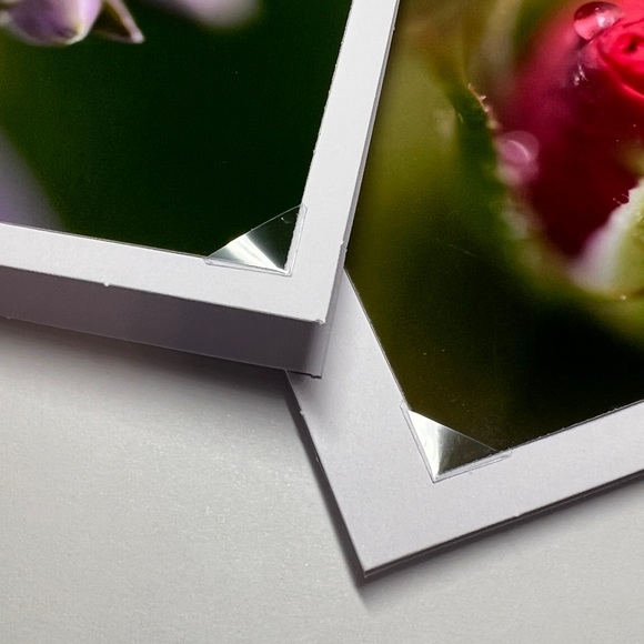 Custom Photo Note Cards Made in Maine - Picture 4 of 7